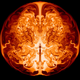 Image for article titled Can You Guess What This Is An Image Of?